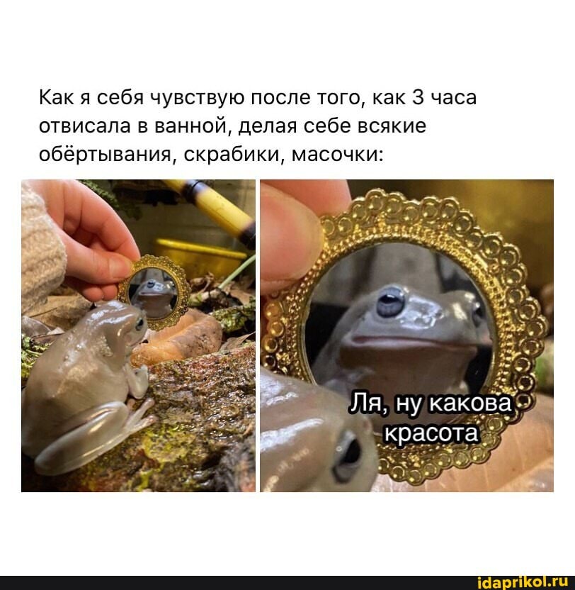 Как я себя чувствую после того, как 3 часа отвисала в ванной, делая себе всякие
обёртывания, скрабики, масочки:
Ля, ну какова.
красота