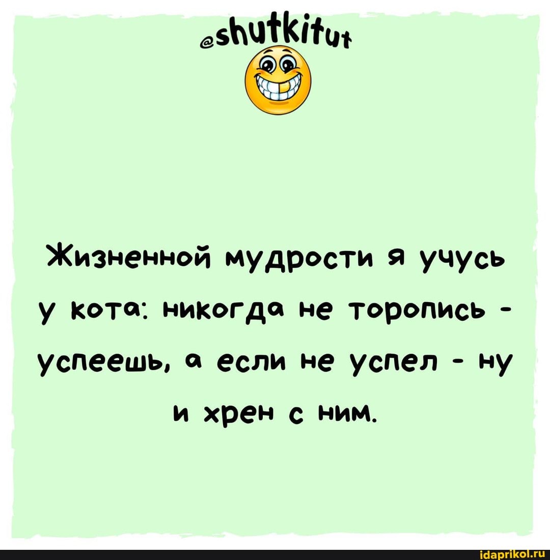 Жизненной мудрости я учусь у кота: никогда не торопись - успеешь, а если не успел - ну
и хрен с ним.