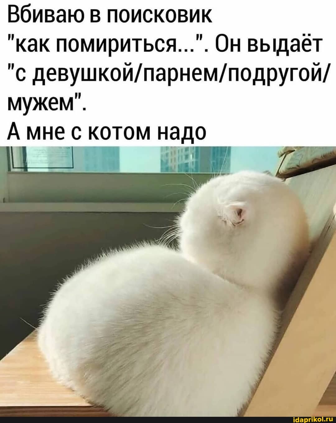"как помириться...". Он выдаёт
"с девушкой/парнем/подругой/
мужем".
А мнес котом надо