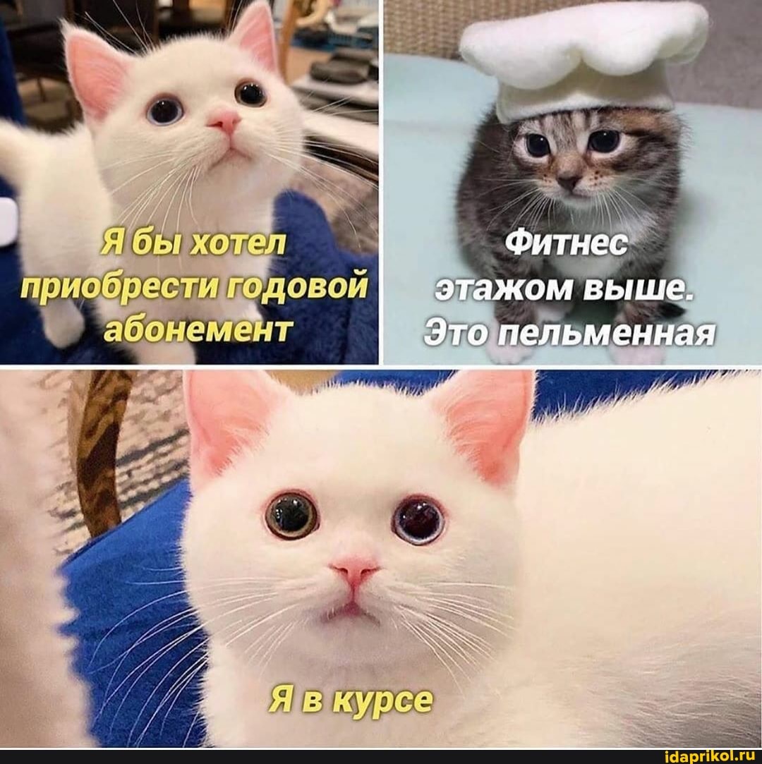 бы хоте!
обрестигодовой
бонеме
Фитнес этажом выше.
Это пельменная
