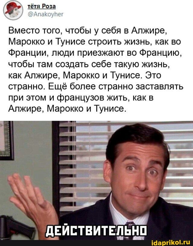 Вместо того, чтобы у себя в Алжире,
Марокко и Тунисе строить жизнь, как во
Франции, люди приезжают во Францию, чтобы там создать себе такую жизнь, как Алжире, Марокко и Тунисе. Это странно. Ещё более странно заставлять при этом и французов жить, как в
Алжире, Марокко и Тунисе.
ДЕЙСТВИТЕЛЬНО