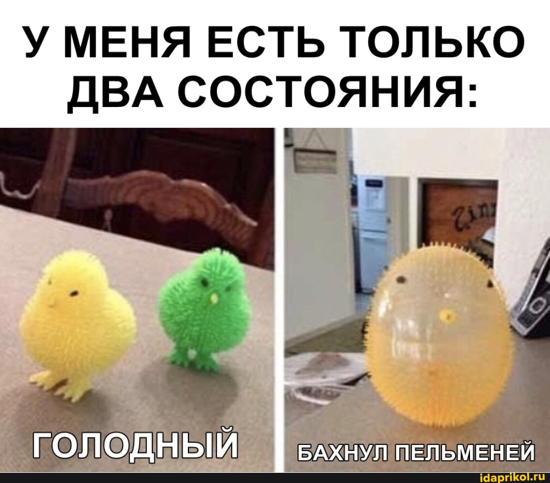 У МЕНЯ ЕСТЬ ТОЛЬКО
ДВА СОСТОЯНИЯ:
ГОЛОДНЫЙ БАХНУЛ ПЕЛЬМЕНЕЙ