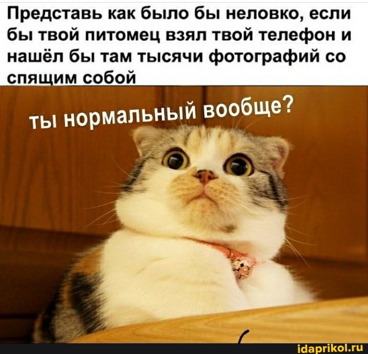 Представь как было бы неловко, если бы твой питомец взял твой телефон и
нашёл бы там тысячи фотографий со спящим собой
ты нормальный вообще?