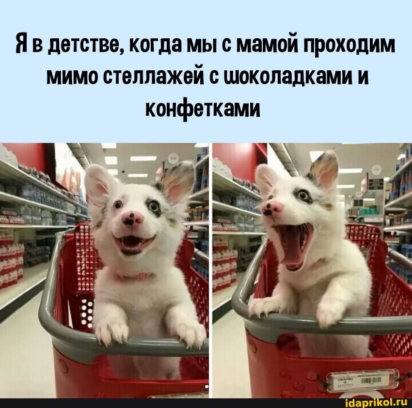 Яв детстве, когда мы с мамой проходим мимо стеллажей с шоколадками и конфетками