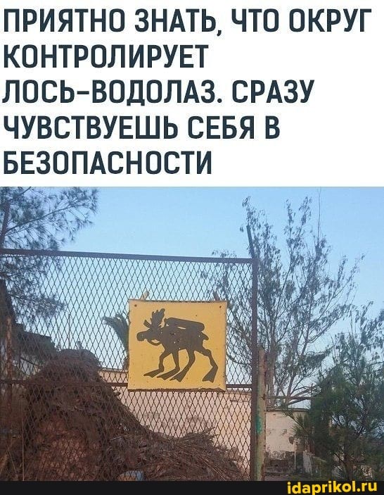 ПРИЯТНО ЗНАТЬ, ЧТО ОКРУГ
КОНТРОЛИРУЕТ
ЛОСЬ-ВОДОЛАЗ. СРАЗУ
ЧУВСТВУЕШЬ СЕБЯ В
БЕЗОПАСНОСТИ