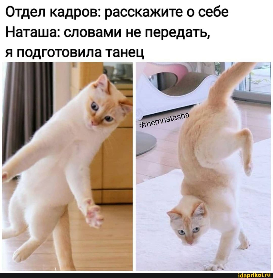 Отдел кадров: расскажите о себе
Наташа: словами не передать, я подготовила танец