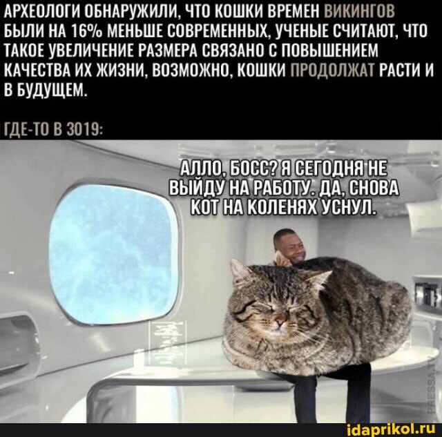 АРХЕОЛОГИ ОБНАРУЖИЛИ, ЧТО КОШКИ ВРЕМЕН ВИКИНГОВ БЫЛИ НА 16% МЕНЬШЕ СОВРЕМЕННЫХ, УЧЕНЫЕ СЧИТАЮТ, ЧТО ТАКОЕ УВЕЛИЧЕНИЕ РАЗМЕРА СВЯЗАНО С ПОВЫШЕНИЕМ КАЧЕСТВА ИХ ЖИЗНИ, ВОЗМОЖНО, КОШКИ ПРОДОЛЖАТ РАСТЯ И БУДУЩЕМ.
НЕ
ВЫЙДУ НА РАБОТУ. СНОВА
КОТ НА КОЛЕНЯХ УСНУЛ
ГДЕ-ТО 3019: