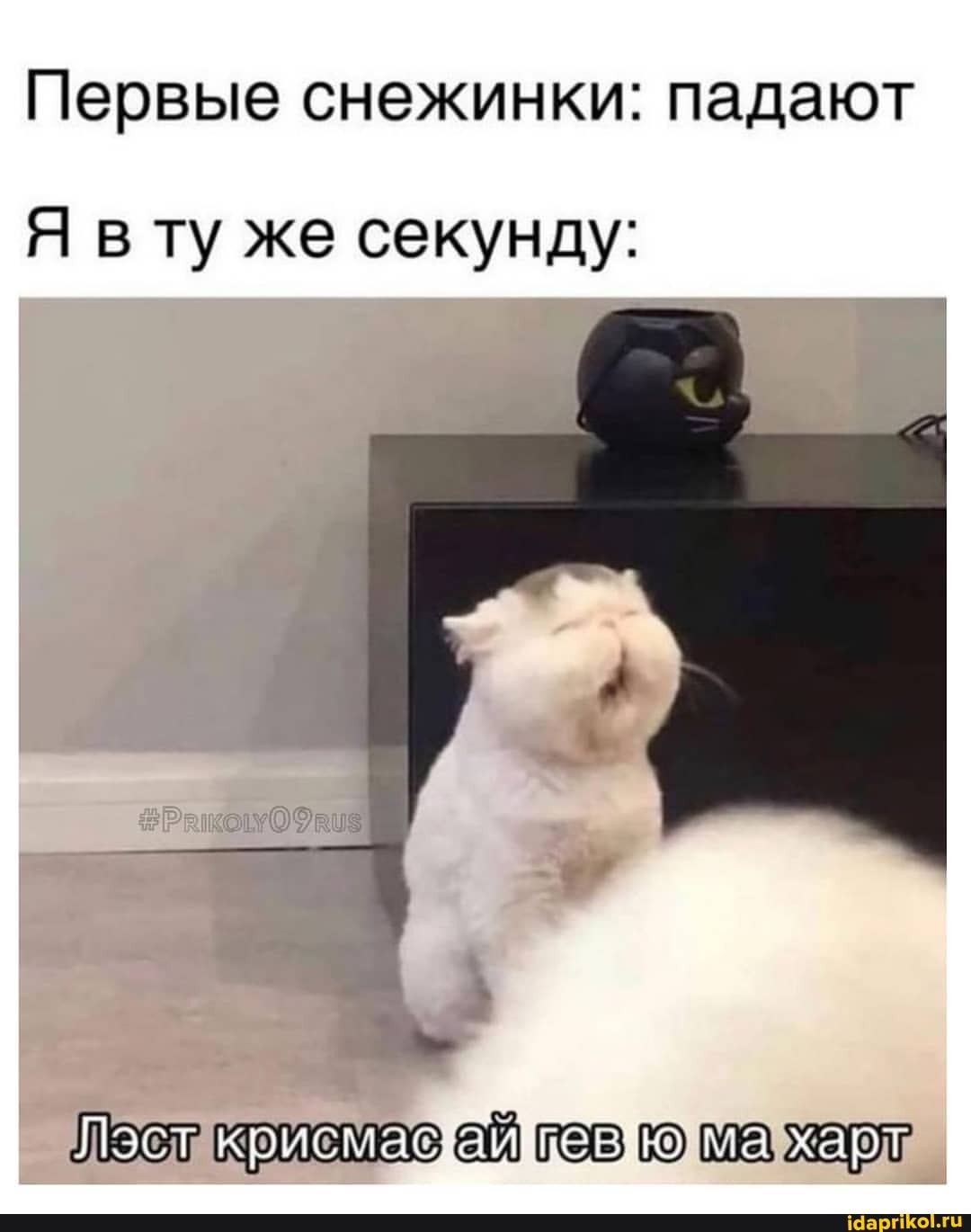 Первые снежинки: падают
Я вт/ же секунду:
Лэслакрисмаайщев