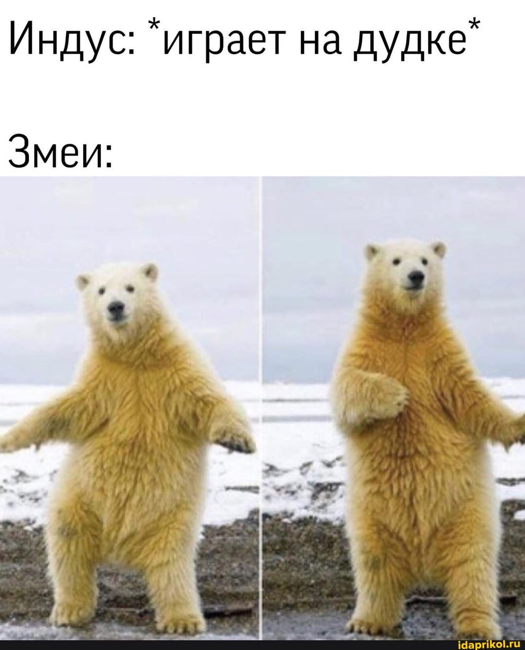 Индус: "играет на
дудке"
Змеи: