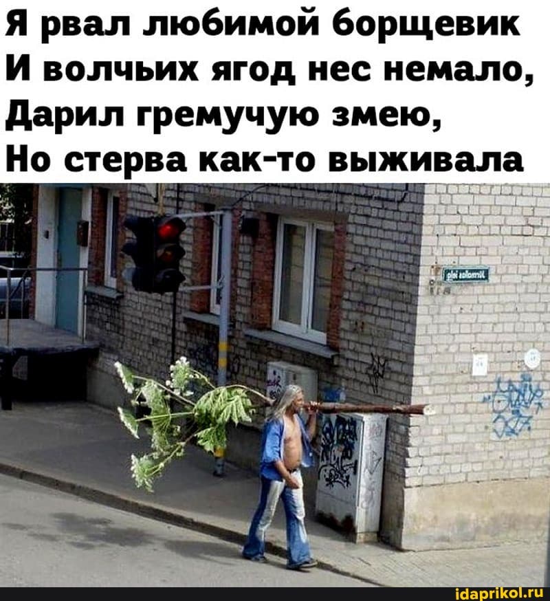 Я рвал любимой борщевик
И волчьих ягод нес немало,
Дарил гремучую змею,
Но стерва как-то выживала