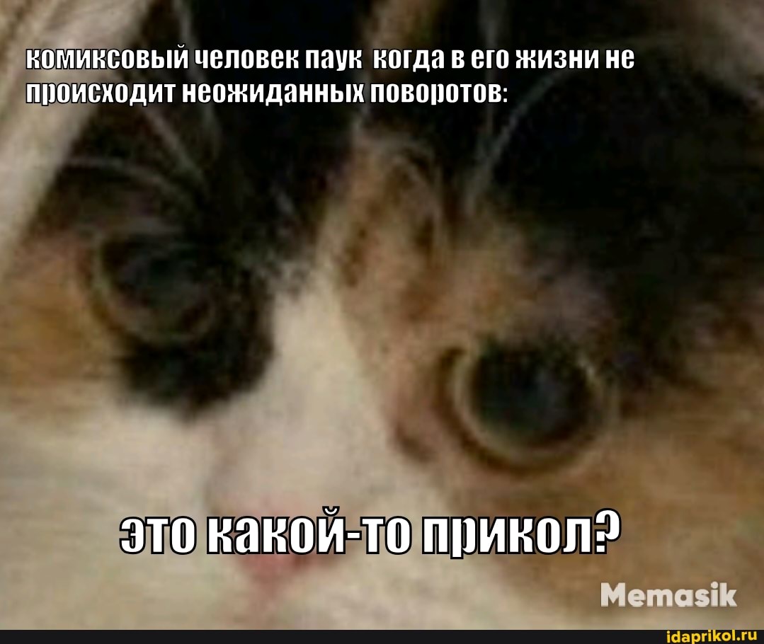 коминсовый человек паун когда в его жизни не происходит неожиданных поворотов:
это какои-то прикол2