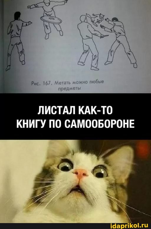 ЛИСТАЛ КАК-ТО
КНИГУ ПО САМООБОРОНЕ