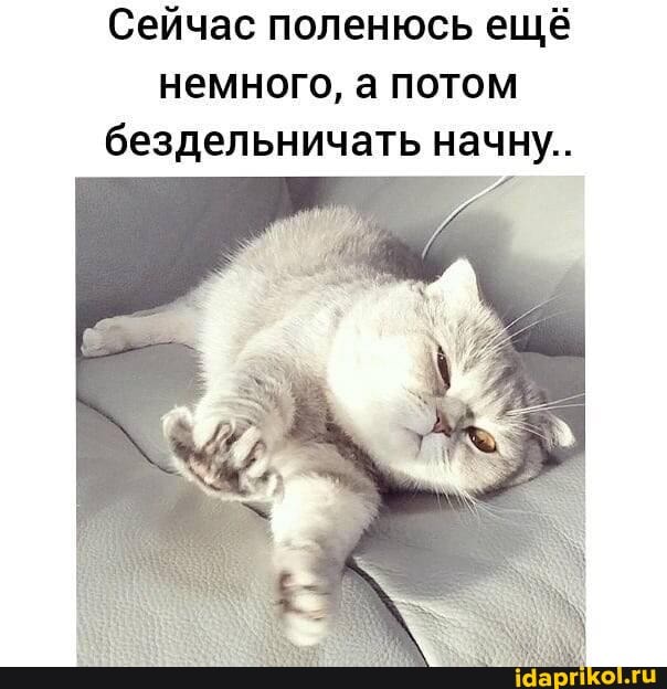 Сейчас поленюсь ещё немного, а потом бездельничать начну..