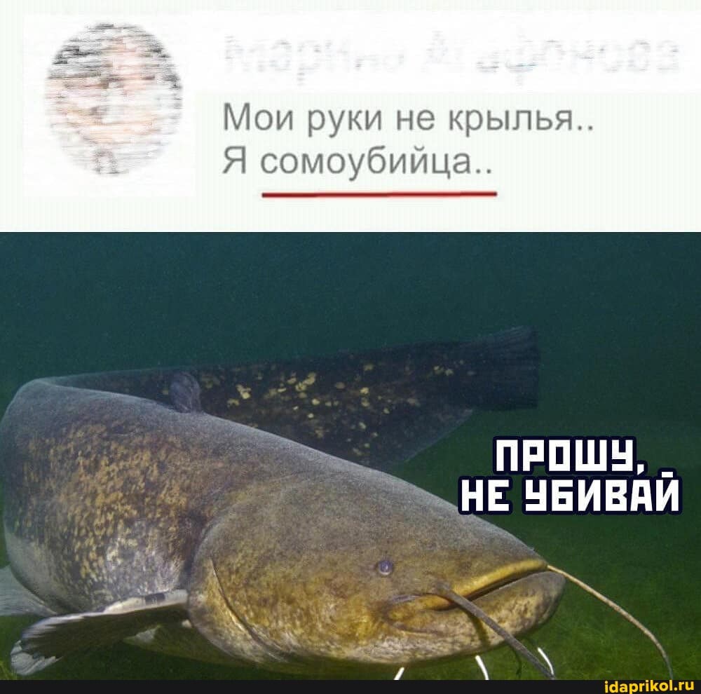 Мои руки не крылья...
Я сомоубийца..
НЕ УБИВАИ