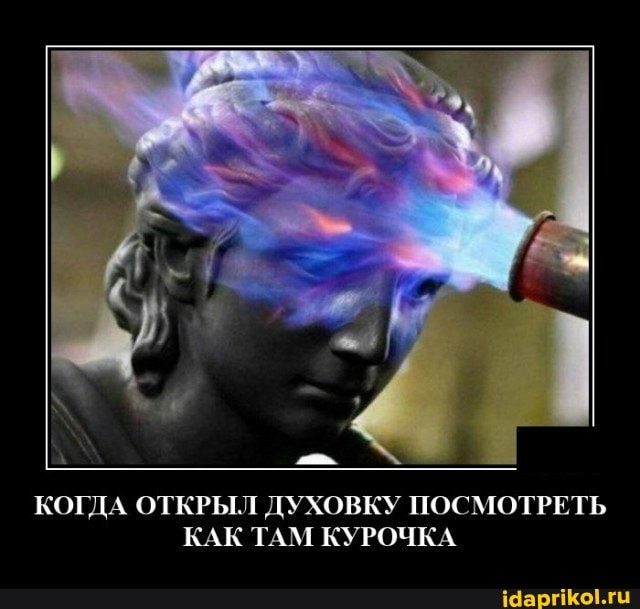 КОГДА ОТКРЫЛ ДУХОВКУ ПОСМОТРЕТЬ КАК ТАМ КУРОЧКА