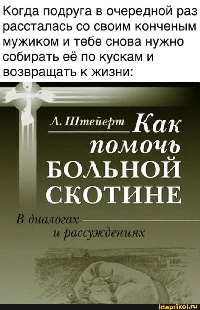Когда подруга в очередной раз рассталась со своим конченым мужиком и тебе снова нужно
собирать её по кускам и возвращать к жизни:
Ка
Л. тейефт
помочь
БОЛЬНОЙ СКОТИНЕ
диалогах
рассуждениях