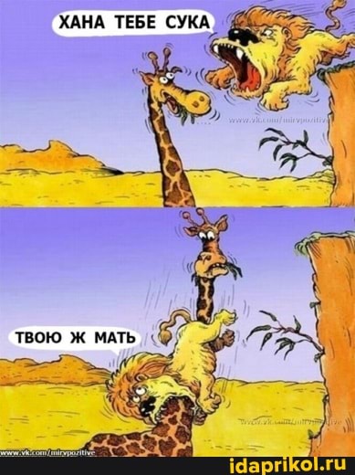 ХАНА ТЕБЕ СУК,