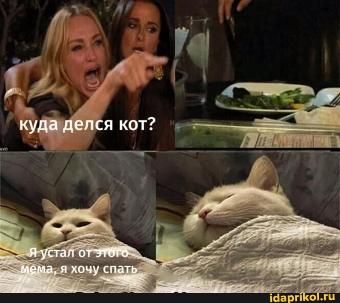 куда делся кот?
Я устал от этого мема, я хочу спать