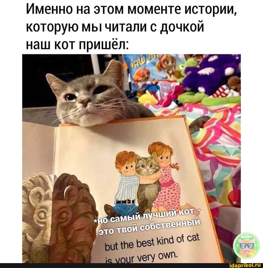 Именно на этом моменте истории, которую мы читали с дочкой наш кот пришёл:
самый лучшии
кот
ый
не Без с\
АГ ООСМЛ.
