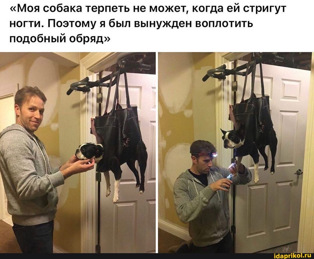 "Моя собака терпеть не может, когда ей стригут
ногти. Поэтому я был вынужден воплотить
подобный обряд"