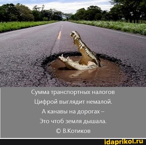 Сумыа ранзпзуртных налогов
Цисрой выгляди" немалой
канавы на