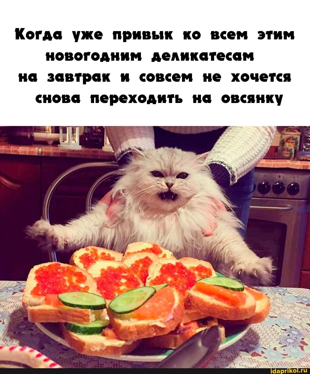 Когда уже привык ко всем этим новогодним деликатесам
на завтрак и совсем не хочется снова переходить на овсянку
