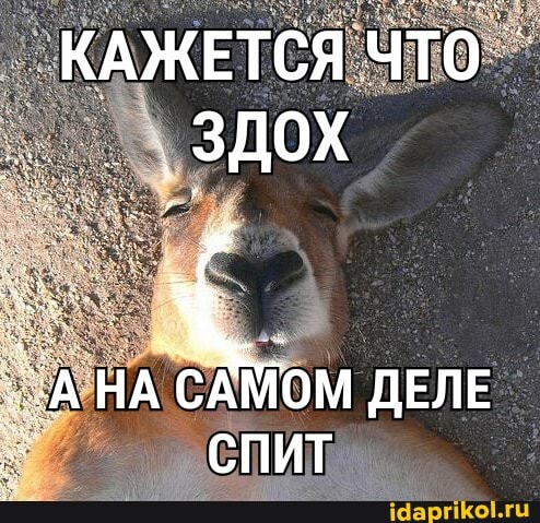 КАЖЕТСЯ ЧТО
АНА САМОМ СПИТ