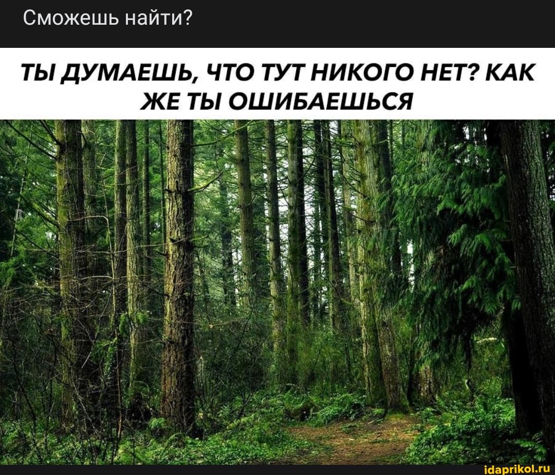 Сможешь на
йти?
ТЫ ДУМАЕШЬ, ЧТО ТУТ НИКОГО НЕТ? КАК
ЖЕ ТЫ ОШИБАЕШЬСЯ