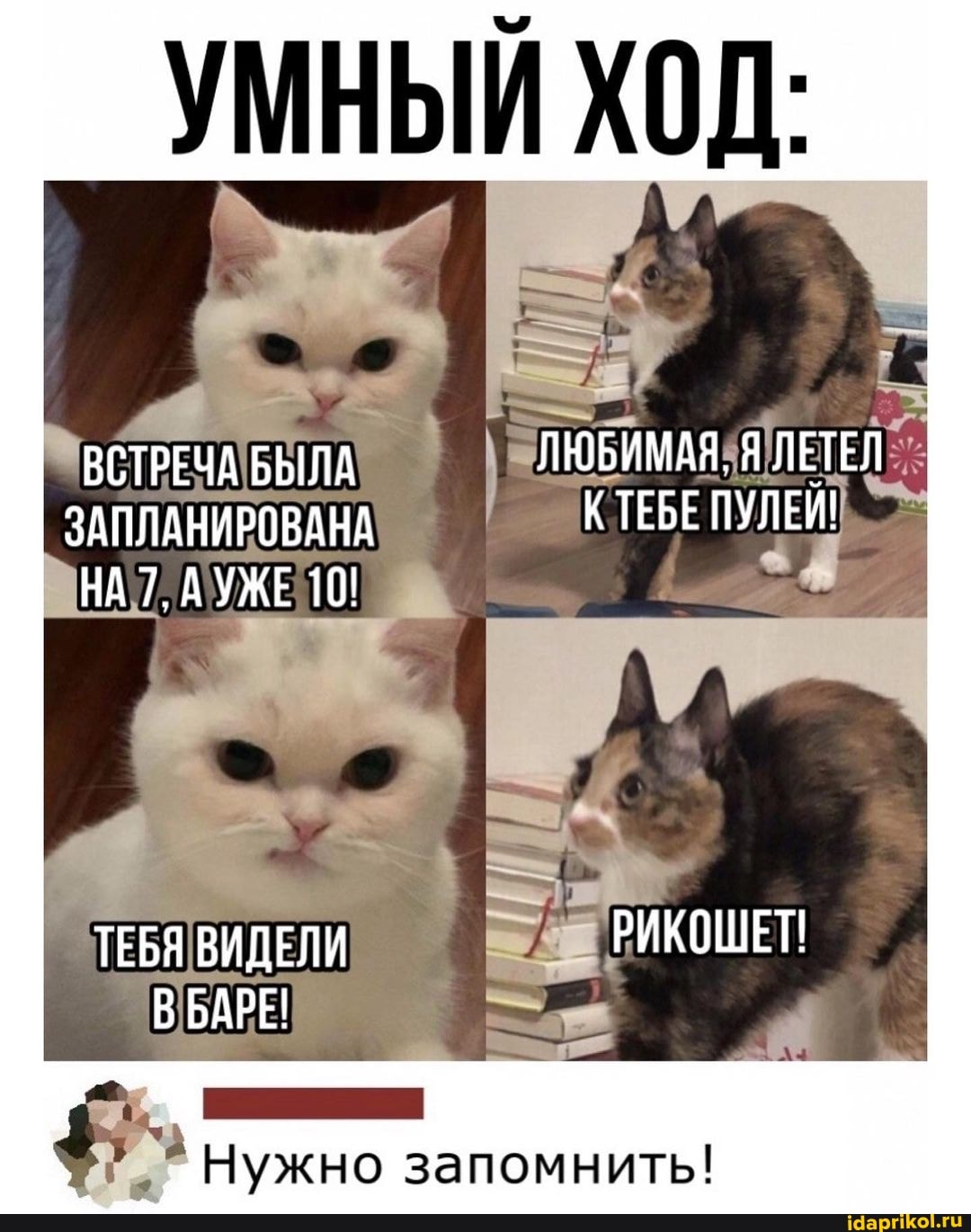 УМНЫЙ ХОД:
ВСТРЕЧА БЫЛА ЛЮБИМАЯ, Я ЛЕТЕЛ
ЗАПЛАНИРОВАНА КТЕБЕ ПУЛЕЙ!
НА 7, АУЖЕ 10
ТЕБЯ ВИДЕЛИ РИКОШЕТ ВБАРЕ!
Нужно запомнить!