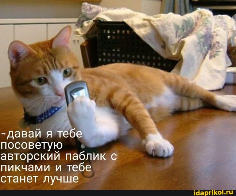 -давай я тебе посоветую авторский паблик с пикчами и тебе станет лучше