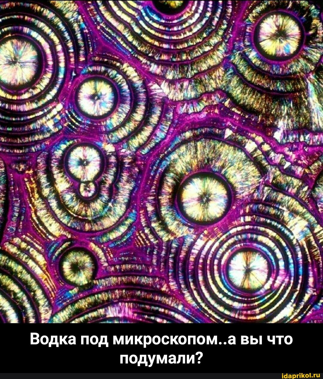 ЕЕ ЕЁ
Водка под микроскопом..а вы что подумали? - Водка под микроскопом..а вы что подумали?