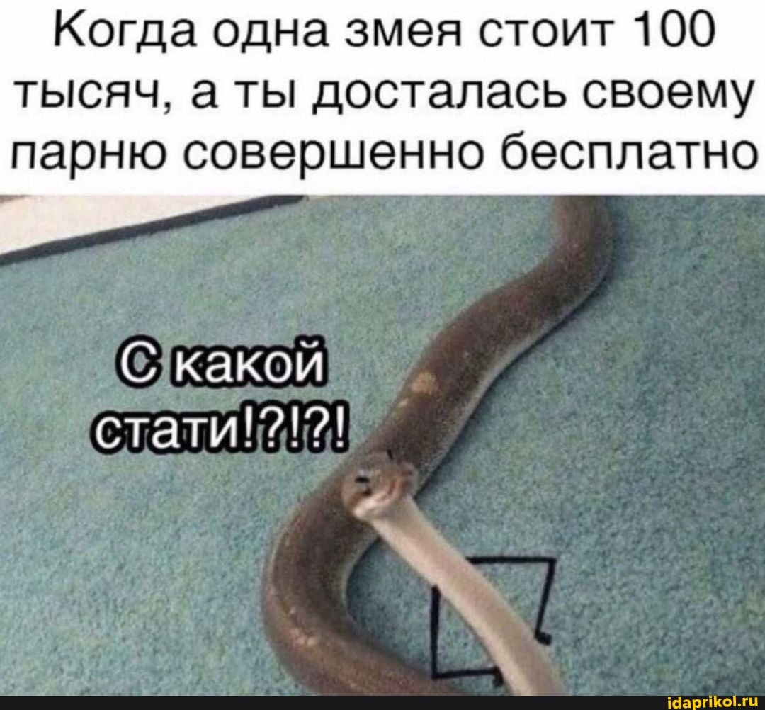 Когда одна змея стоит 100 тысяч, а ты досталась своему парню совершенно бесплатно
С какой