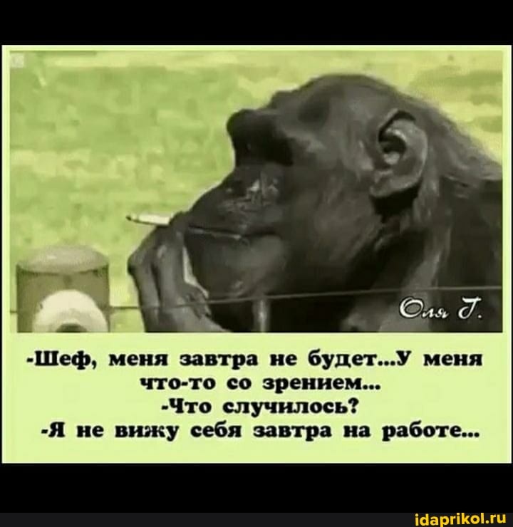 -Шеф, меня завтра не будет...У меня что-то со зрением...
"Что случилось?
-Я не вижу себя завтра на работе...