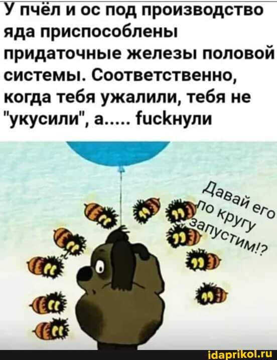 `У пчёл и ос под производство яда приспособлены придаточные железы половой системы. Соответственно, когда тебя ужалили, тебя не
"укусили", а..... ФисКнули