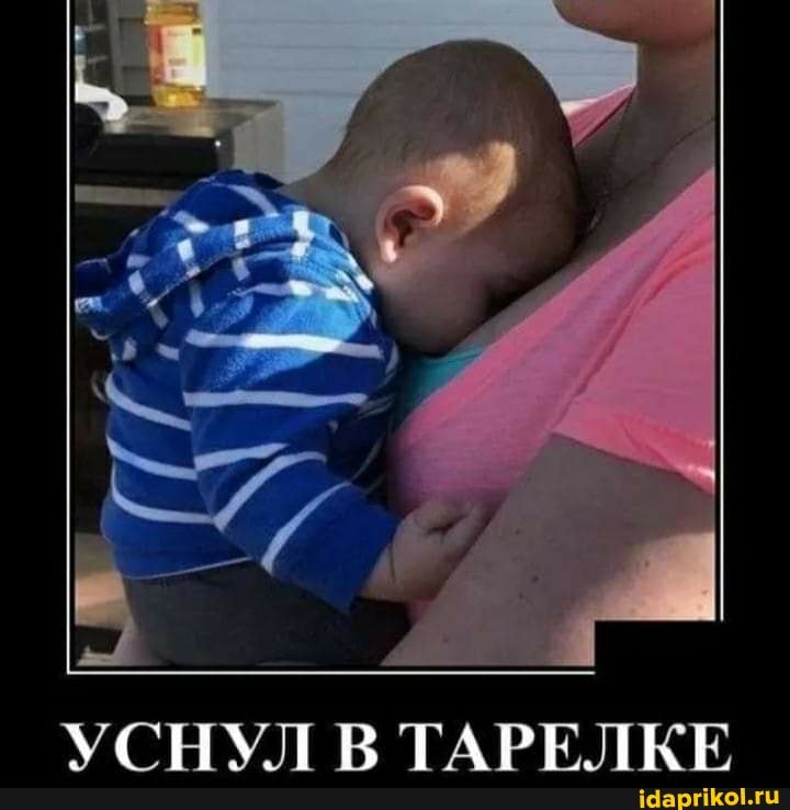 УСНУЛ В ТАРЕЛКЕ