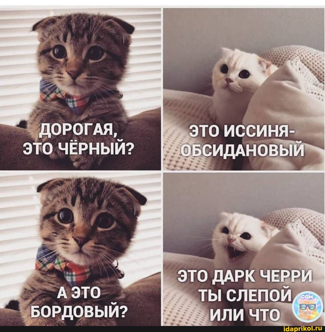 ДОРОГАЯ,_ это
ЭТО ЧЁРНЫЙ?
"БОРДОВЫЙ?