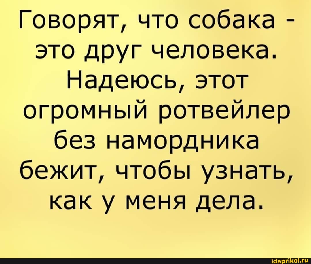Говорят, что собака - это друг человека.
Надеюсь, этот огромный ротвейлер без намордника бежит, чтобы узнать, как у меня дела.
