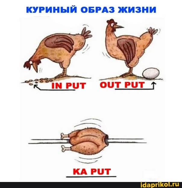 КУРИНЫЙ ОБРАЗ ЖИЗНИ
РИТ ОЦТРИТ