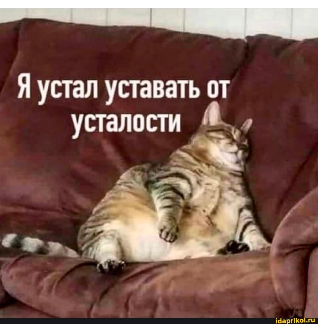 Я устал уставать от усталости