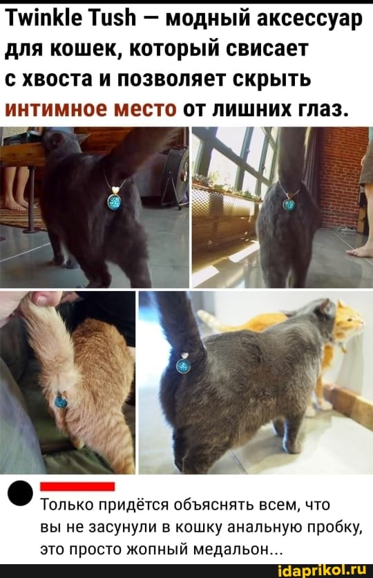 ТииКе Тизй - модный аксессуар для кошек, который свисает
с хвоста и позволяет скрыть интимное место от лишних глаз.
Только придётся обяснять всем, что вы не засунули в кошку анальную пробку, это просто жопный медальон...