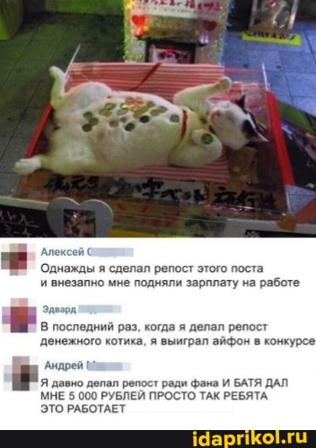 Алексей
Однажды я сделал репост этого поста.
внезапно мне подняли зарплату на работе
В последний раз, когда я делал репост денежного котика, я выиграл айфон в конкурсе
Андрей
Я давно делал репост ради фана И БАТЯ ДАЛ МНЕ 5 000 РУБЛЕЙ ПРОСТО ТАК РЕБЯТА ЭТО РАБОТАЕТ