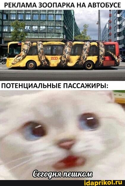 РЕКЛАМА ЗООПАРКА НА АВТОБУСЕ
Сегодняпешком:
