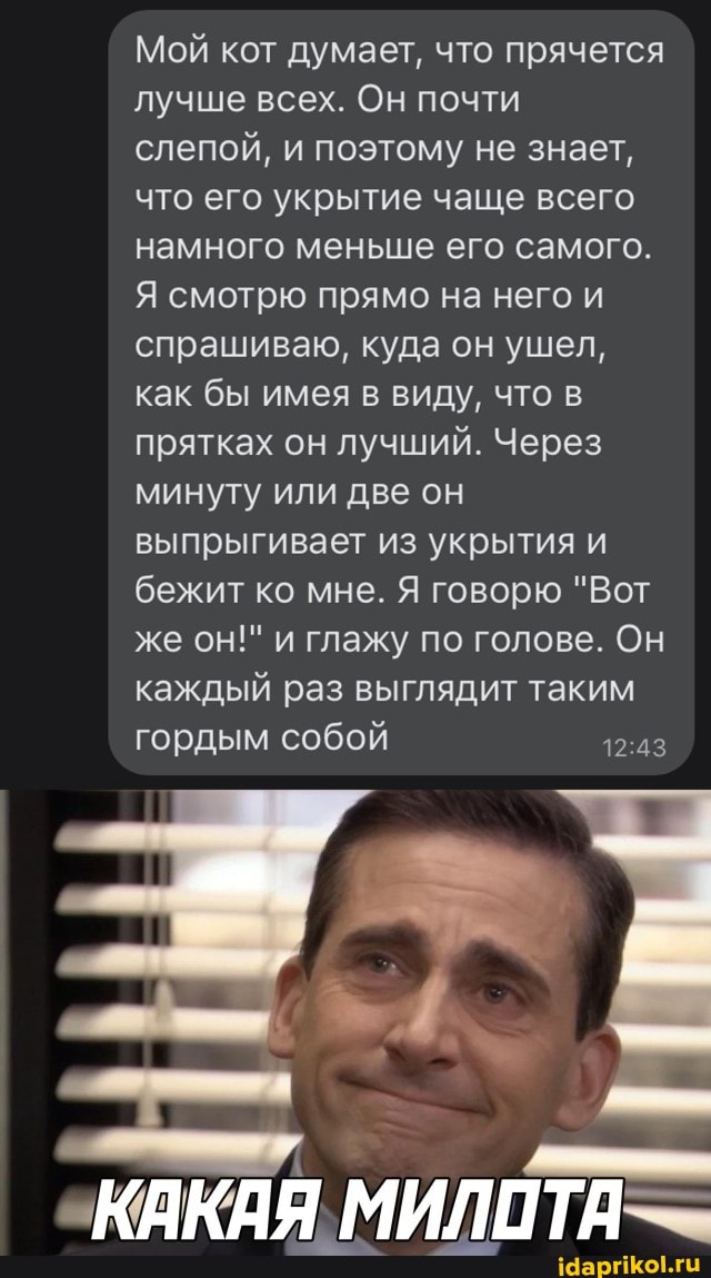 Мой кот думает, что прячется лучше всех. Он почти слепой, и поэтому не знает, что его укрытие чаще всего намного меньше его самого.
Я смотрю прямо на него и спрашиваю, куда он ушел, как бы имея в виду, что в прятках он лучший. Через минуту или две он выпрыгивает из укрытия и бежит ко мне. Я говорю "Вот же он!" и глажу по голове. Он каждый раз выглядит таким гордым собой
"КАКАЯ. МИЛОТА
