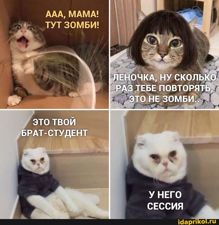ЛЕНОЧКА, НУ СКОЛЬКО
' РАЗ ТЕБЕ ПОВТОРЯТЬ,
ЭТО НЕ ЗОМБИ...
ААА, МАМА!
ТУТ ЗОМБИ!
ЭТО ТВОЙ БРАТ-СТУДЕНТ
У НЕГО СЕССИЯ