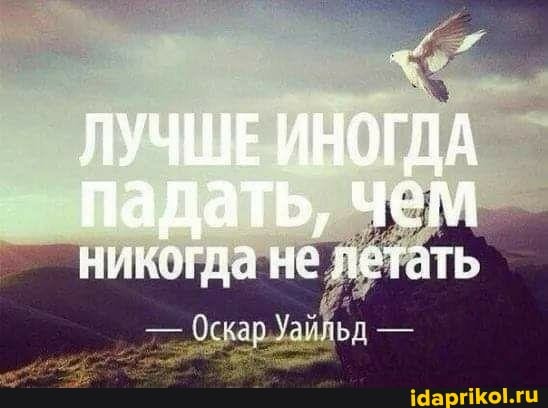 ЛУЧШЕ ИНОГДА падать, чем
НИкОГЛа ЛеТЭТЬ
