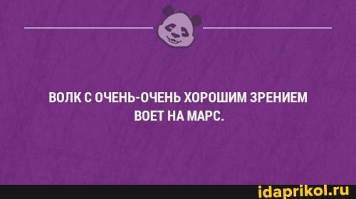 ВОЛК ОЧЕНЬ-ОЧЕНЬ ХОРОШИМ ЗРЕНИЕМ ВОЕТ НА МАРС.