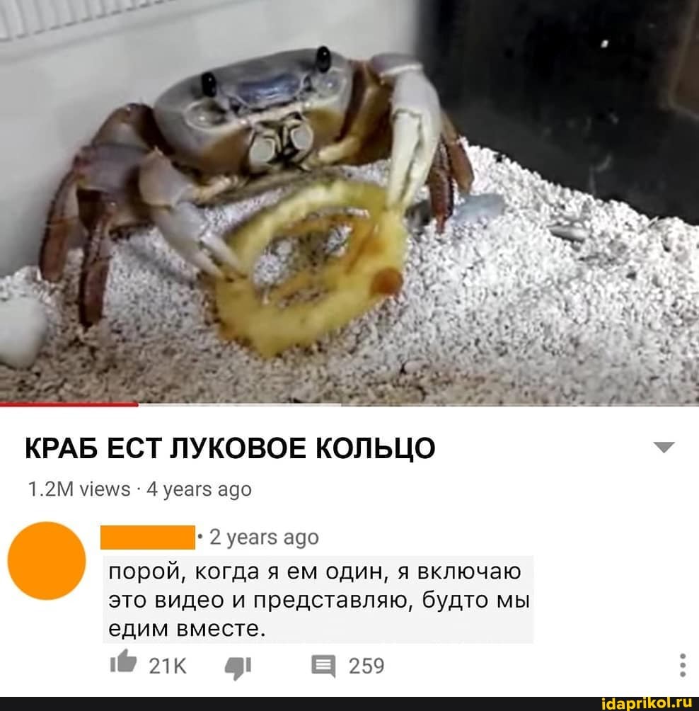 КРАБ ЕСТ ЛУКОВОЕ КОЛЬЦО
1.2М 4 уеаг$ адо
уеагз адо порой, когда я ем один, я включаю это видео и представляю, будто мы едим вместе.
@ 25
