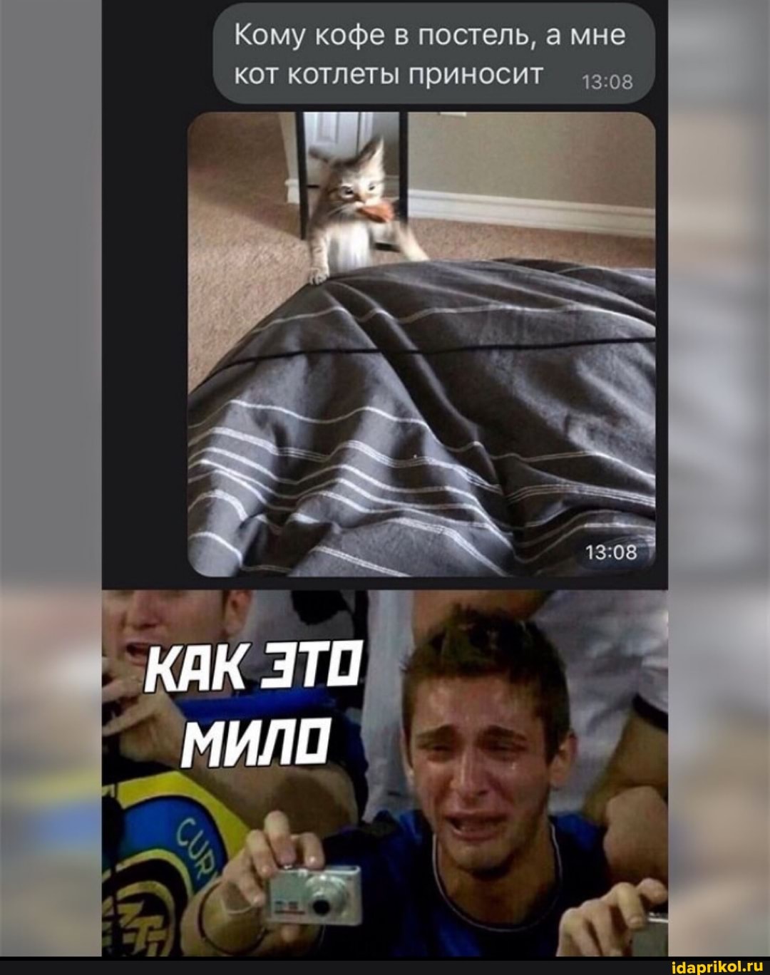 Кому кофе в постель, а мне кот котлеты приносит
КАК ЭТО
МИЛО