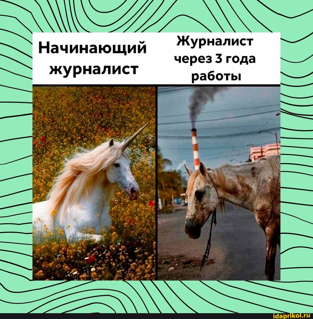 Начинающий ЖУРНалист
через 3 года журналист работы