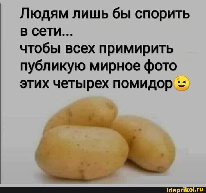 Людям лишь бы спорить в сети...
чтобы всех примирить публикую мирное фото этих четырех помидор
